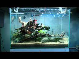 Toko jakarta barat remind me toko jakarta utara remind me xpress cikupa remind me toko tangerang remind me tersedia di 2 lokasi lain. Toko Aquascape Jakarta Barat Aquatic Videos