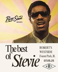 Stevie Wonder at blackweir fields