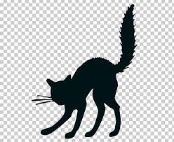 Pin On Cat Drawing