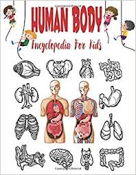 Toddlers and preschoolers will love these free printable puzzles to learn about body parts! Human Body Encyclopedia For Kids Body Parts Book For Kids Look Inside Your Body For Children Education Pixa 9781653100453 Amazon Com Books