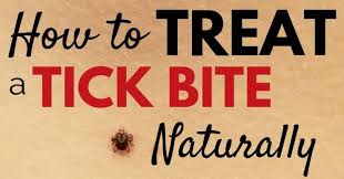 Wash your hands, clean your pet's wound with antiseptic and make sure to clean your tweezers with isopropyl alcohol. How To Treat A Tick Bite Naturally What To Do After Removing A Tick