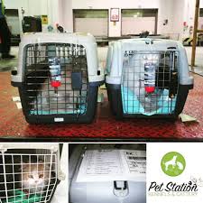 Check spelling or type a new query. Pet Relocation Dubai International Pet Relocation Services By Pet Station Group Medium