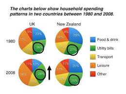 Ielts Writing Task 1 Pie Chart