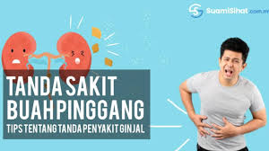 Check spelling or type a new query. Tanda Sakit Buah Pinggang Periksa Tubuh Anda Sebelum Terlambat
