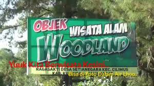 Hutan desa, adalah hutan negara yang dikelola oleh desa dan di manfaatkan untuk kesejahteraan desa. Woodland Wisata Alam Youtube