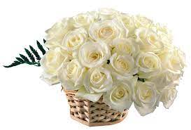 Pin By Diiwal On Kwiaty White Flower Wallpaper Flower Wallpaper White Roses