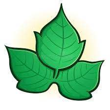 Begin sketching out the shape of her upper body starting with the outline of her face, draw her hair line, and. Poison Ivy Stock Illustrations 97 Poison Ivy Stock Illustrations Vectors Clipart Dreamstime