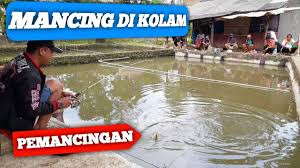 Mancing Di Kolam Pemancingan Selingan Dulu Di Kolam Pemancingan Sebelum Mancing Di Jatigede Eps 10 Youtube