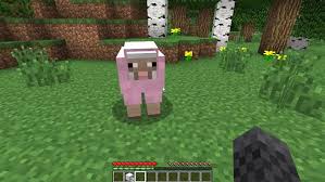 When it comes to looking and feeling your best, a healthy diet and active lifestyle go a long way. Minecraft A Guide For Old People