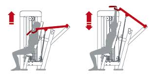 Get the best of shopping and entertainment with prime. Deltoid Press Convergent