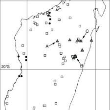 Image result for Ormocarpum schliebenii