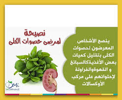 حصى الكلى Helthy Food Healthy Tips Health Diet