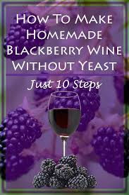 How To Make Blackberry Wine Without Yeast Home Beer And Wine Homemade Wine Recipes Blackberry Wine Wine Yeast