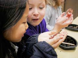 FY2022 CuriOdyssey Impact Report