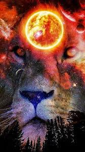 Download and use 30,000+ aesthetic wallpaper stock photos for free. Hd Lion Sun Galaxy Wallpapers Peakpx