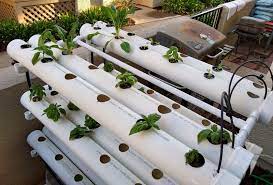 Welcome to the nft hydroponics kit store. Portable Hydroponic Market Gardening 72 Plant Nft Vertical Hydroponic Build Diy Greens And Machines