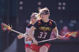 Image result for Erica evansii