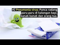 Jika anda mendapat jangkitan gbs semasa hamil, ia tidak bermakna ibu berada dalam keadaan yang tidak bersih. Jangkitan Kuman Di Paru Paru Lung Infection Simptom Doctoroncall