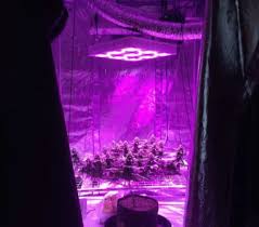 What are the best led grow lights? Tutorial How To Grow Cannabis Indoors Using Led Grow Lights