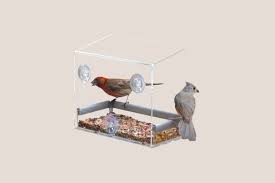 Best Bird Feeders For Small Birds The Best Bird Feeders For Your Backyard In 2020 Best Bird Feeders Bird Feeders Bird