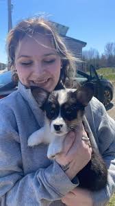 Let's share our loafs and their ✨ Glow ups✨ Everyone meet Roach 8weeks —> 9  months 💜