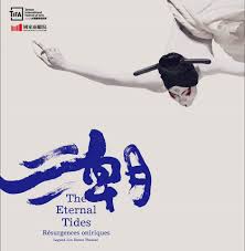 潮 無垢舞蹈劇場 graphic design graphic design typography typography design