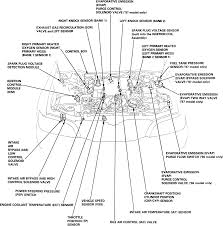 Car a rac presents official data of motor volume. 96 Acura Tl Engine Diagram 2002 Grand Am Engine Wiring Diagram Begeboy Wiring Diagram Source