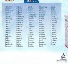 Prenom chat male en p. Prenom Pour Un Chaton Male