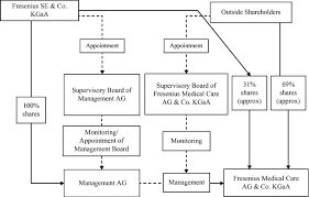 Fresenius Medical Care Ag Co Kgaa