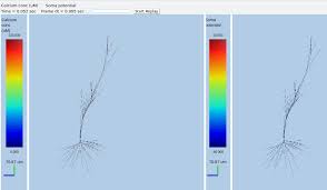Rdesigneur: Building multiscale models — MOOSE chennapoda (3.2.rc)  documentation