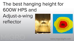 Our top picks best 400w led grow lights. The Best Hanging Height For A 600w Hps With An Adjust A Wing Reflector Youtube
