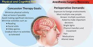 Is A Concussed Brain A Vulnerable Brain? Anesthesia After Concussion -  Anesthesia Patient Safety Foundation