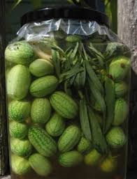 Concombres A Confire Conserve Concombre Recette Concombre Concombre