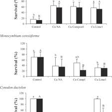Image result for Monocymbium