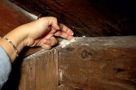 White mold is commonly found growing on wood surfaces: How To Get Rid Of Mold Old House Journal Magazine