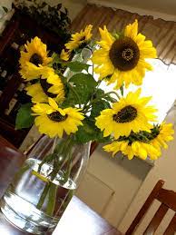 Perpetuating clean water, good herb, and environmental sustainability. Cut Your Own Flowers Blumen Zum Selbstschneiden Travel Events Culture Tips For Americans Stationed In Germany