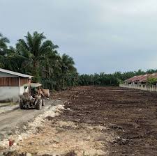 162 tanah lot untuk dijual pekan pahang. Lot Tanah Untuk Dijual Perniagaan Salmi Home Facebook