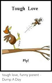 So in this post, we're diving. Tough Love Fly ãƒŠãƒŠã‚¹ Tough Love Funny Parent Dump A Day Funny Meme On Me Me