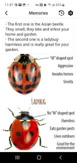 If anyone needs a detail this week please message me 931-280-1913. Thank  you!