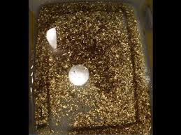 How To Easily Recover Gold From Scrap Computer Chips Computer Chip Scrap Old Computers
