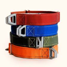 Genel Amacli Boyun Tasma Modelleri Dogs Dog Harness Dog Collar