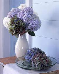 Roses & hydrangea, tall vase, we take two of our most popular flowers, long stemmed roses and premium quality hydrangea, and designed them in a dutch gathering vase for this stunning arrangement suitable for any occasion. Hydrangea Arrangements Martha Stewart