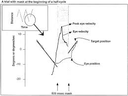 Motion sensors / motion detectors can be integrated with video surveillance systems to provide additional security for buildings and also our price: Ketamine Effects On Eye Movements Neuropsychopharmacology