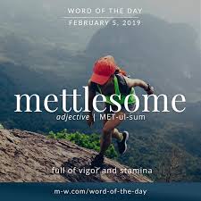 Mettlesome Full Of Vigor And Stamina Words Cool Words Aesthetic Words