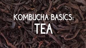 Best black tea brand for kombucha. Guide To Tea You Brew Kombucha