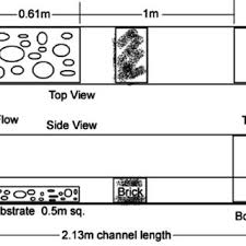 Diagrams of (a) plan and (b) side views of the artificial flow channel...