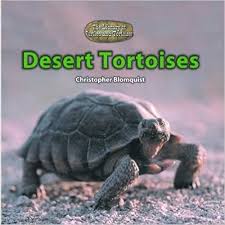 Care Husbandry And Diet Of The Desert Tortoise Gopherus Xerobates Agassizii Cooper Produced By The Asdm Tortoise Adoption Prog Desert Tortoise Turtle Tortoises