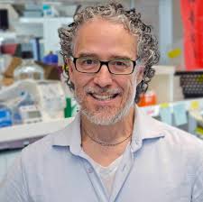 Hereditary Disease Foundation