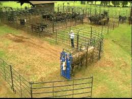 Priefert Small Cattle Working Systems Youtube