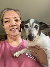 Chester was a massive fan of Maltese Shi tzu's that's how I connected with  Chester Bennington was his choice of doggies he had so many doggies and  some were his favourite like